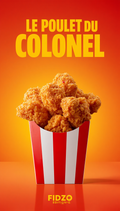 [K] E-Book Fidzo : Le Poulet du Colonel